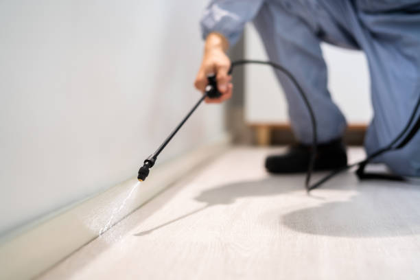 Certified termite inspector examining foundation in Booneville